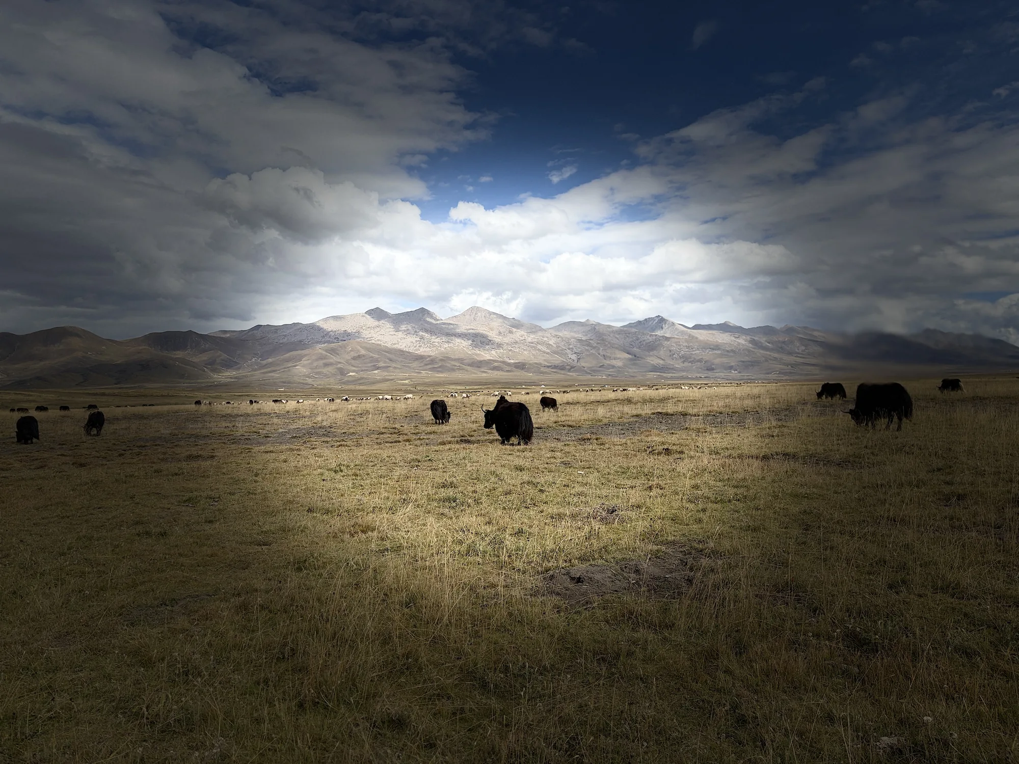 Edition 01 cover — Highland Crossing